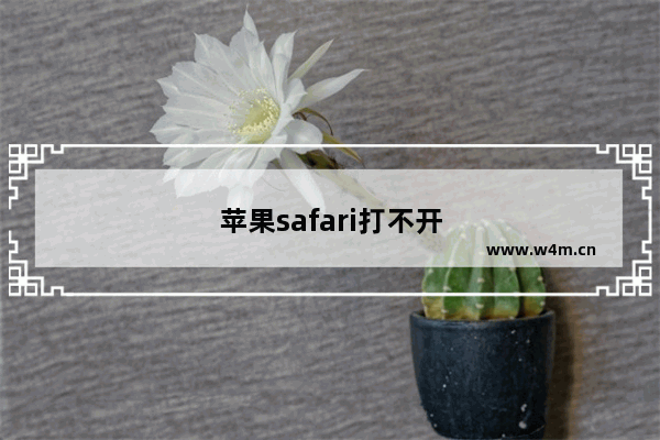 苹果safari打不开