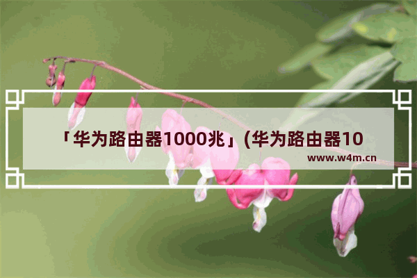 「华为路由器1000兆」(华为路由器1000兆跟3000哪个好点)