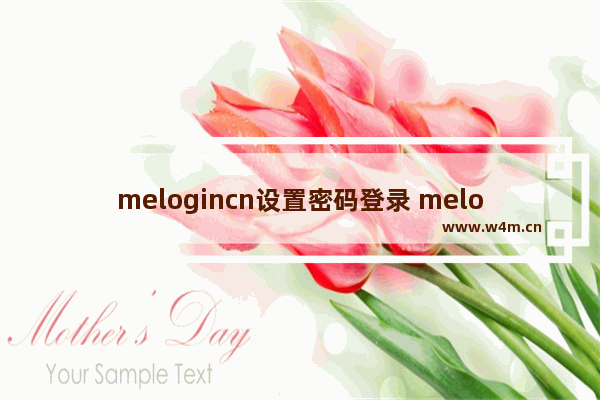 melogincn设置密码登录 melogincn设置密码登录界面