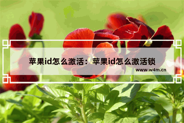 苹果id怎么激活：苹果id怎么激活锁