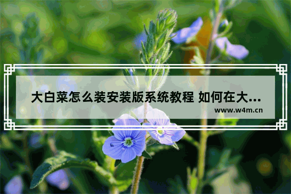 大白菜怎么装安装版系统教程 如何在大白菜上安装操作系统