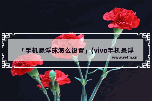 「手机悬浮球怎么设置」(vivo手机悬浮球怎么设置返回键)