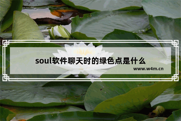 soul软件聊天时的绿色点是什么