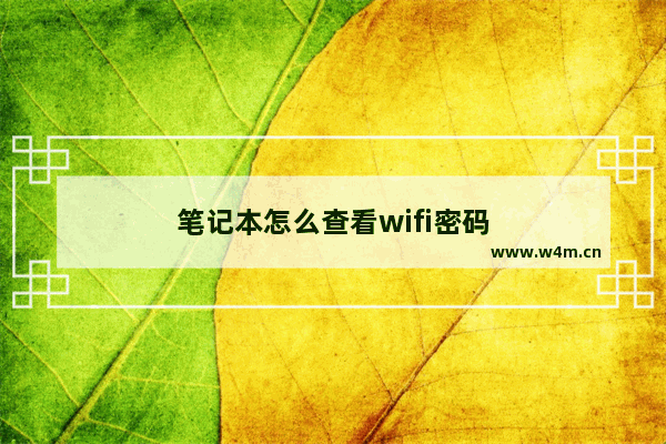 笔记本怎么查看wifi密码