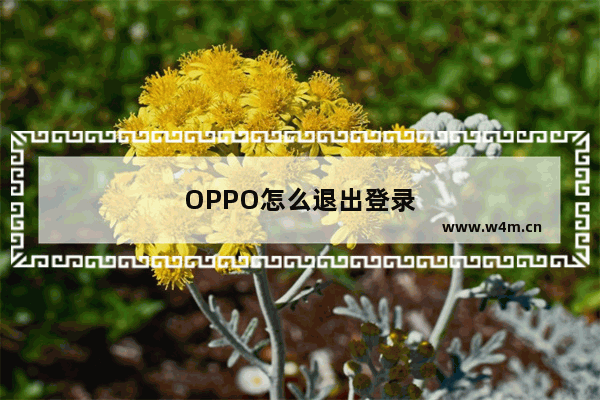 OPPO怎么退出登录