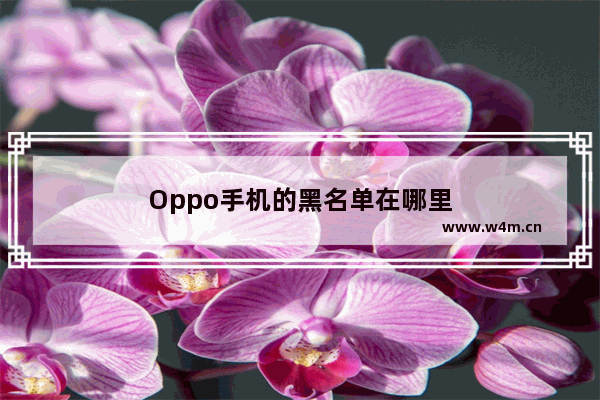 Oppo手机的黑名单在哪里