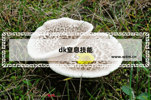 dk窒息技能