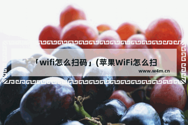 「wifi怎么扫码」(苹果WiFi怎么扫码)