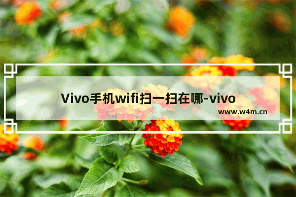 Vivo手机wifi扫一扫在哪-vivo手机wifi扫一扫在哪里