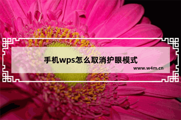 手机wps怎么取消护眼模式