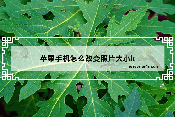 苹果手机怎么改变照片大小k