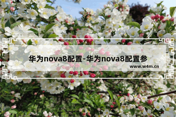 华为nova8配置-华为nova8配置参数详情