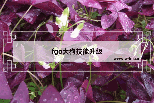 fgo大狗技能升级