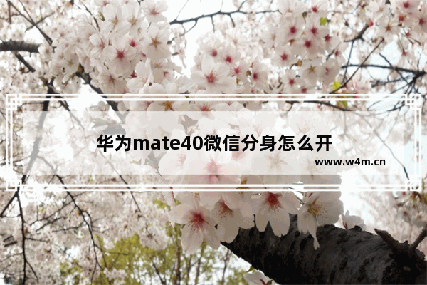 华为mate40微信分身怎么开