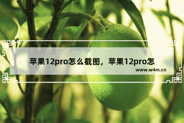 苹果12pro怎么截图，苹果12pro怎么截图三种方法