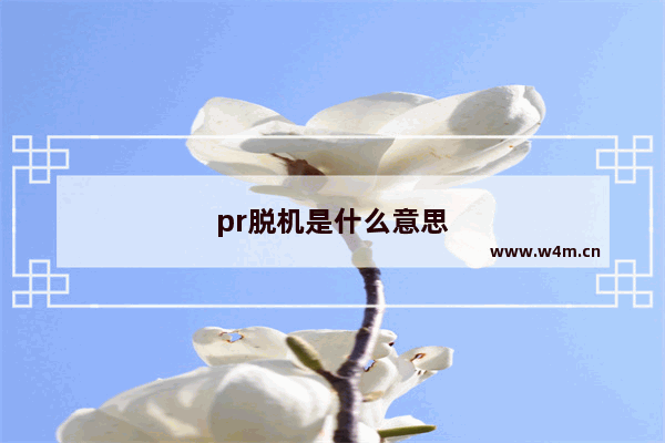 pr脱机是什么意思