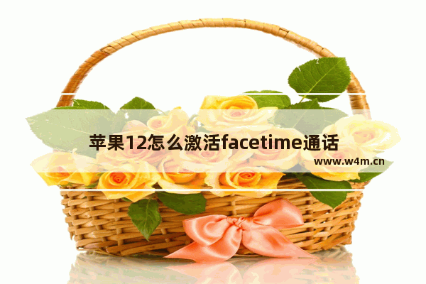 苹果12怎么激活facetime通话