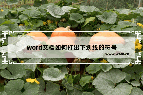 word文档如何打出下划线的符号