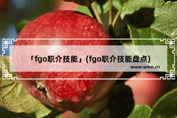 「fgo职介技能」(fgo职介技能盘点)