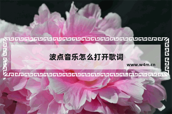 波点音乐怎么打开歌词