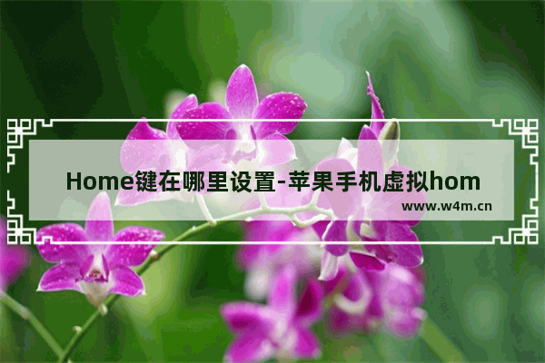 Home键在哪里设置-苹果手机虚拟home键在哪里设置