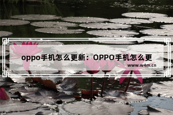 oppo手机怎么更新：OPPO手机怎么更新系统软件