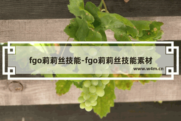 fgo莉莉丝技能-fgo莉莉丝技能素材