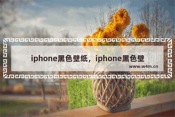 iphone黑色壁纸，iphone黑色壁纸两只眼睛