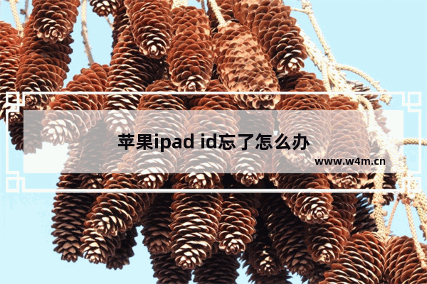 苹果ipad id忘了怎么办