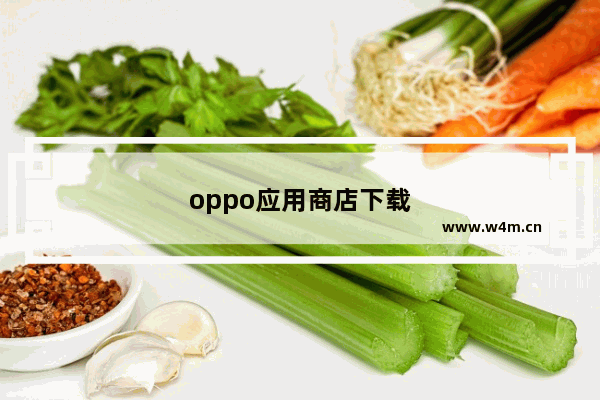 oppo应用商店下载