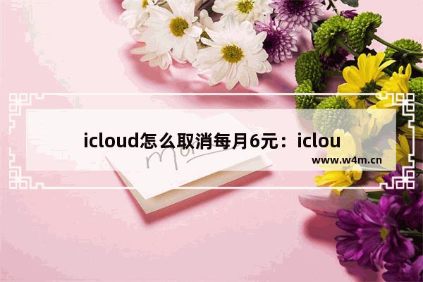 icloud怎么取消每月6元：icloud怎么取消每月6元会怎么样