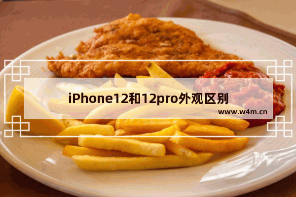 iPhone12和12pro外观区别