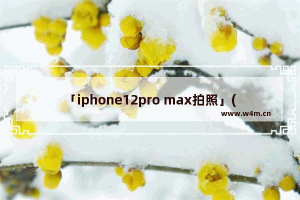 「iphone12pro max拍照」(iphone12pro max拍照设置图片大小)