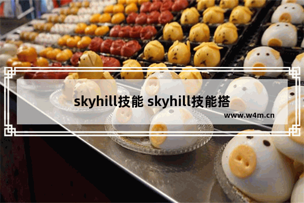 skyhill技能 skyhill技能搭配