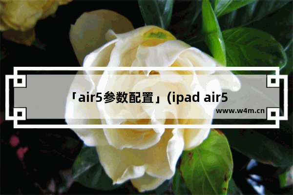 「air5参数配置」(ipad air5参数配置详细)