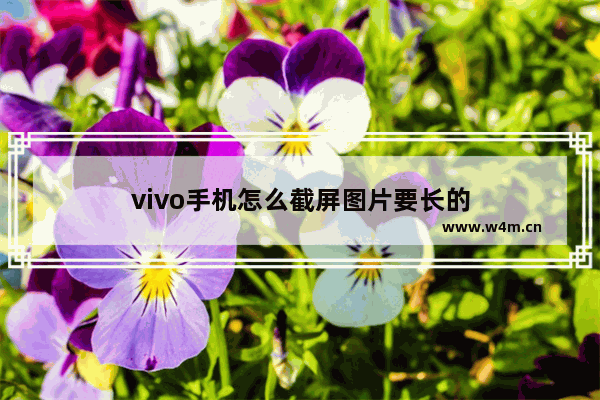 vivo手机怎么截屏图片要长的