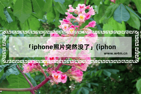 「iphone照片突然没了」(iphone照片突然没了一部分 没有icloud)