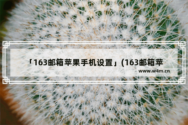 「163邮箱苹果手机设置」(163邮箱苹果手机设置主机名)