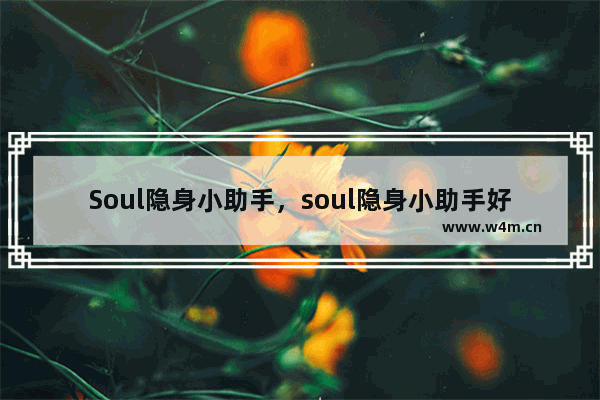 Soul隐身小助手，soul隐身小助手好友看你主页会看到吗