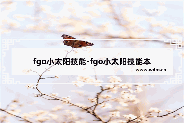 fgo小太阳技能-fgo小太阳技能本