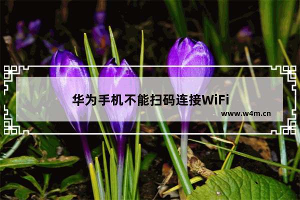 华为手机不能扫码连接WiFi