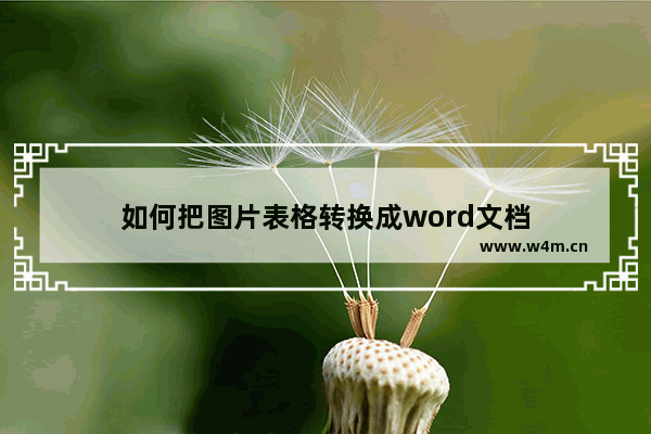 如何把图片表格转换成word文档