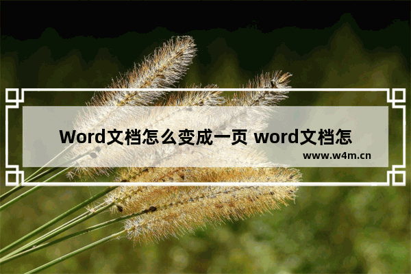 Word文档怎么变成一页 word文档怎么变成一页一页