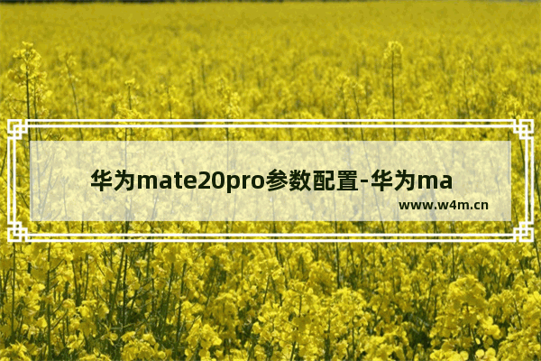 华为mate20pro参数配置-华为mate20pro参数配置相素