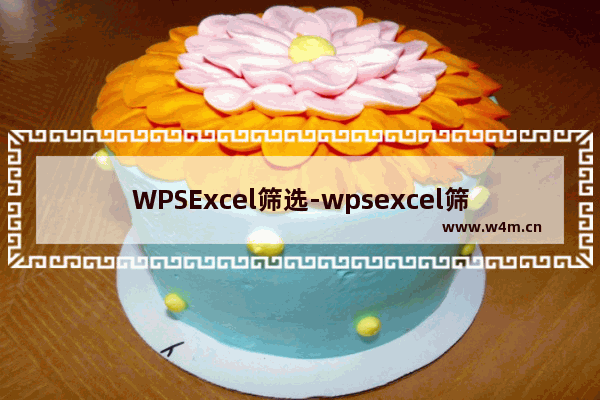 WPSExcel筛选-wpsexcel筛选多个条件