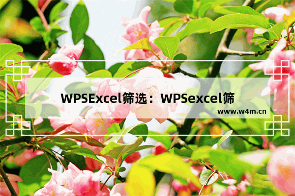 WPSExcel筛选：WPSexcel筛选出自己想要的数据