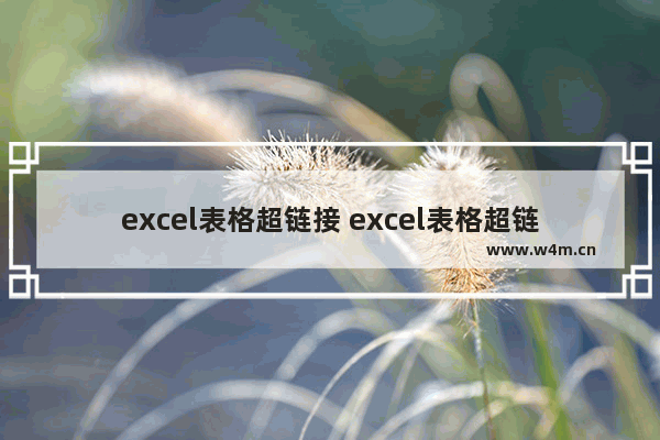 excel表格超链接 excel表格超链接文件怎么保存