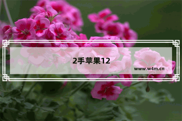 2手苹果12