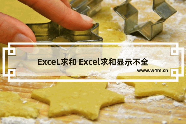 ExceL求和 Excel求和显示不全