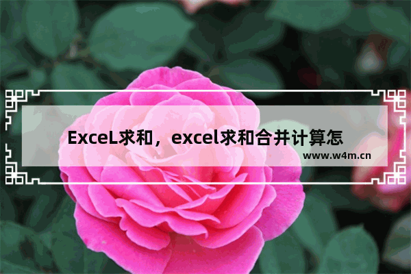 ExceL求和，excel求和合并计算怎么做